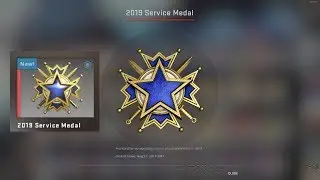 Getting Blue 2019 Service medal Tier 3 | CSGO