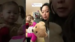The Nugget&rsquo;s Stuffed Animal Collection #shorts28