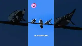 3 факта, которые вы не хотели знать 😯
