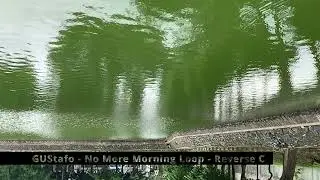 GUStafo   No More Morning Loop   Reverse C
