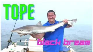 Sea Fishing UK- Boat fishing on reefs catching Tope, Black bream and more