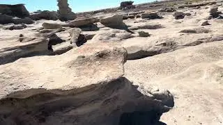 54. New Mexico / Bisti Wildlife area