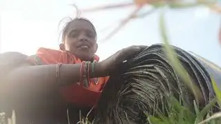 खेत में दूसरा पानी लगाकर पाइप लपेट रही हूं,viral #🌾🌾🌾🌾