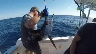 DE fishing catching Marlin and slaying Mahi- 3 Amigos Sportfishing