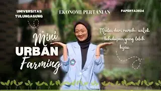 [Tugas MK Ekonomi Pertanian]Urban Farming | Mulai dari rumah, untuk kehidupan yang lebih hijau