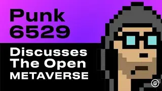 Punk6529 в Open Metaverse