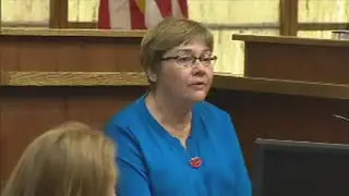 Mother says prison cannot provide proper help for convicted killer