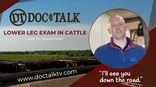 DocTalk Ep 463 - Lower Leg Exam in Cattle with Dr. Shane Terrell