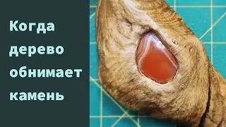 Когда дерево обнимает камень | Процесс  со-единения