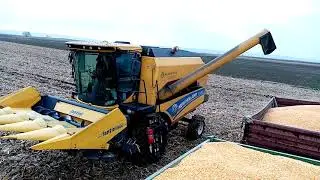 New holland tc 4.90 vršaj kukuruza 2020