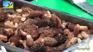 Kuzug&ouml;beği Mantar &Ccedil;orbası - Şef Onur Arslan
