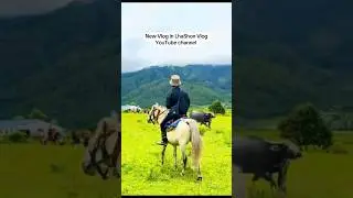 Dhorpatan Calling: A Tibetan Doctor&rsquo;s Journey with Students #trending #dhorpatan #goviral #love