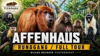 Affenhaus (Monkey House) Rundgang / Tour - Tierpark Berlin