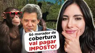 5 fatos que provam que HADDAD tem QI de chimpanzé