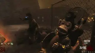 Monkey bomb no work :(