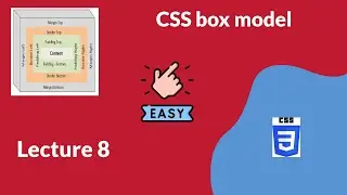 8 Css box model