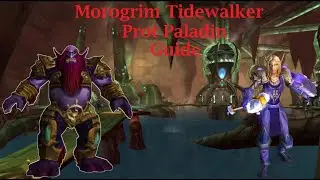 Руководство по прот-паладину для Морогрима Tidewalker &mdash; TBC Classic
