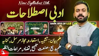 Urdu Grammar | Adbi Istlahaat | Ilm-ul-Bayan & Ilm-ul-Badee | 11th Urdu New Syllabus | Full Lecture 