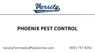 Phoenix Pest Control by The Varsity Team