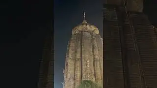 Maha Shivratri at Lingaraj Temple #shorts #viral #live