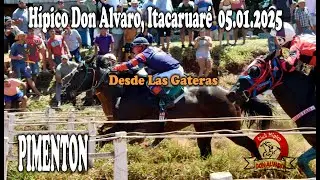 PIMENTON - HIPICO DON ALVARO, ITACARUARE, MISIONES 05.01.2025
