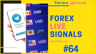 Forex Live Signals Telegram (NZDCAD)