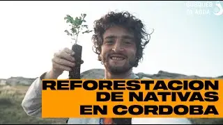 Reforestando Cordoba con Bosques de Agua