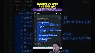런타임에 타입이 사라지는데도 타입검사가 가능한 이유(feat. typia)