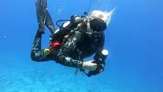 Reef Wise