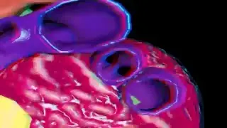 The Heart (HD) from 3-D Body Adventure MS-DOS/Packard Bell Version