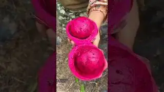 💪RED DRAGON FRUIT💪 MULTIVITAMIN  FRUIT 🍓 21 March 2024