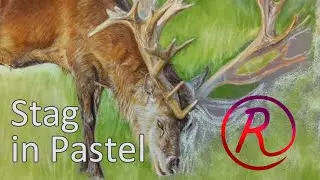 Stag in Pastels - Timelapse