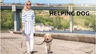 How animals help humans Let's not know  2021/animals tower