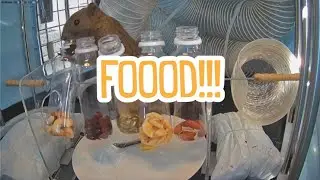 There are eight types of food,right❓️