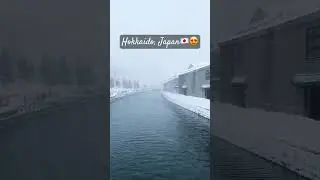 Winter in Japan be like😍🇯🇵❤️ #japan #winterspecial #winter #snow #snowfall #japantravel #hokkaido