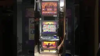 Buffalo slot machines for sale! We have tons of slot machines for sale for your #mancave #videoslot