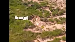 Mabali view top captured from the water #mabali #mabaliisland #view #top #water #coldwater #enjoy