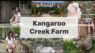 Kangaroo Farm in BC? 😲 | Family-Friendly Animal Vlog | Fun Day at Kangaroo Farm |🦘🐇🦜| Destination 05