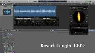 VG Reverb Tim P Nebula Libraries