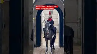 King&rsquo;s Guard - Rainy Day - Winter Cloak - Looks Sharp and Serious #kingsguard #horseguardsparade
