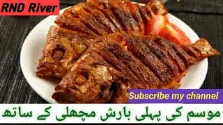 Fish in Rain | Fish | rain | food | street | gwalmandi | sardar | fish | machli | food lovers