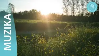 Božansko či&scaron;ćenje &ndash; glazbeni spot prijatelja Brune Gr&ouml;ninga