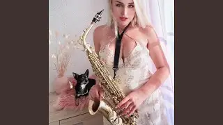 Поздняя любовь