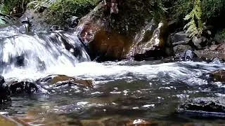 Burble Of The Water | Burble Dictionary Definition is In The Description