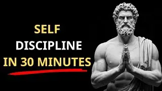 8 Stoic Laws That Rewire Your Mind—Become Mentally Unbreakable