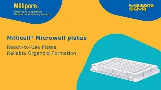 Millicell&reg; Microwell Plates from MilliporeSigma