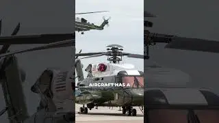 Marine one X Grass Lawn