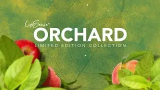 SeneGence LipSense&reg; Orchard Collection