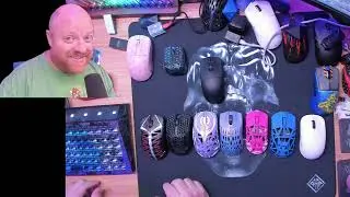 Pulsar Tenz Signature Edition Review