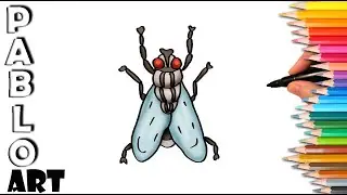 How to draw Fly cartoon | Learn to Draw step by step